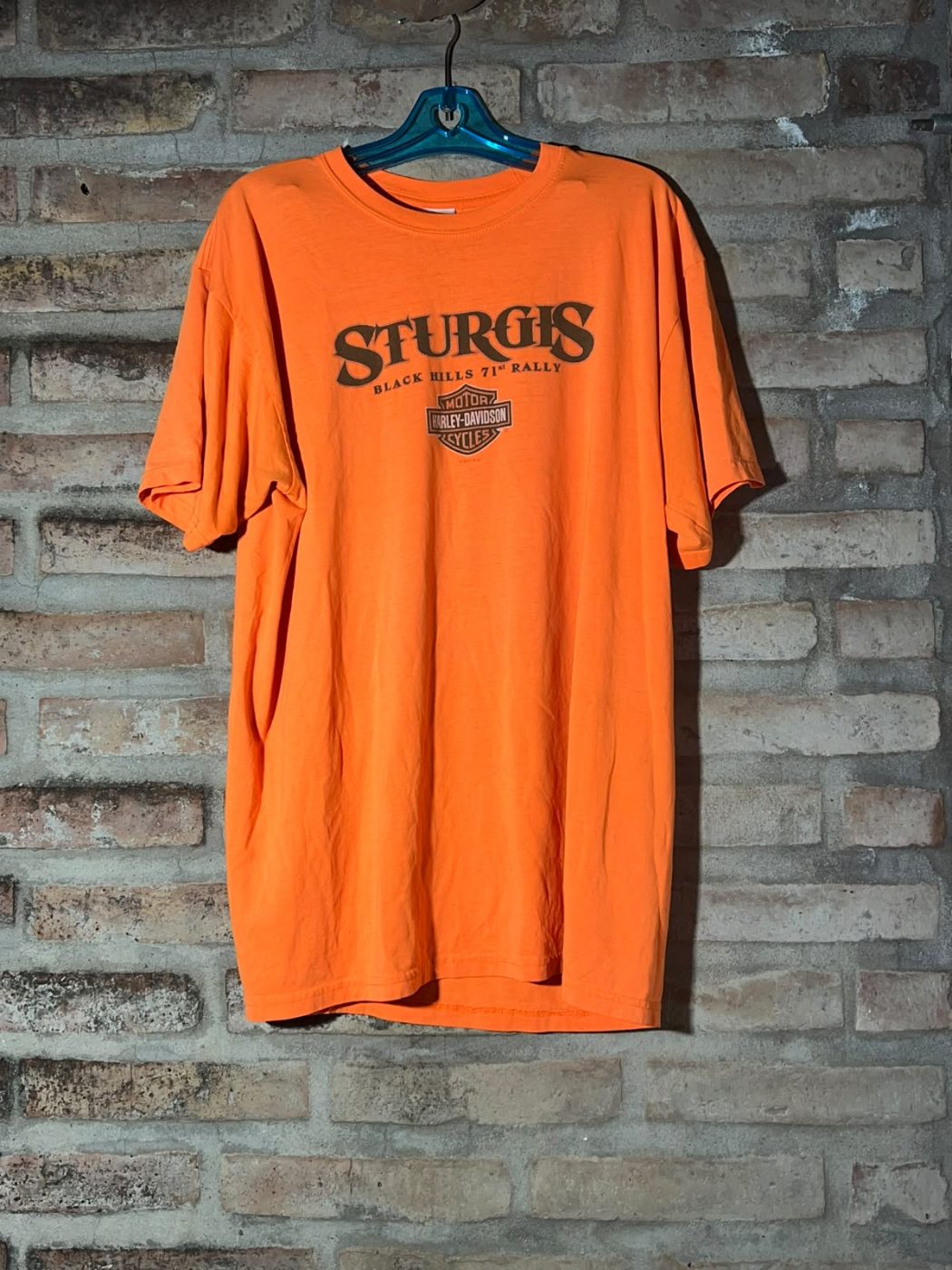 Harley-Davidson ¨Sturgis¨ — foto 1